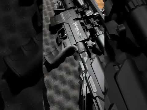 New COBRA LDT semi automatic air rifle #shorts #viral #airrifle #pertamadiindonesia