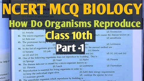NCERT MCQ BIOLOGY CLASS 10TH How Do Organisms Reproduce | CBSE Cl 10 ch-7 How Do Organisms Reproduce
