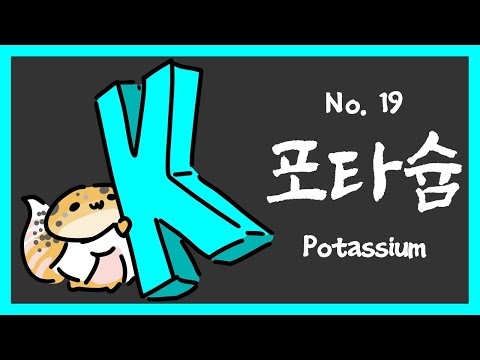 No.019 포타슘 (Potassium, K)