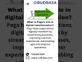 Pega Interview Questions | Rudrasa | Pega