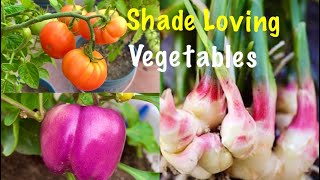Top 10 Shade Loving Vegetables //  Vegetables To Grow In Shady Area