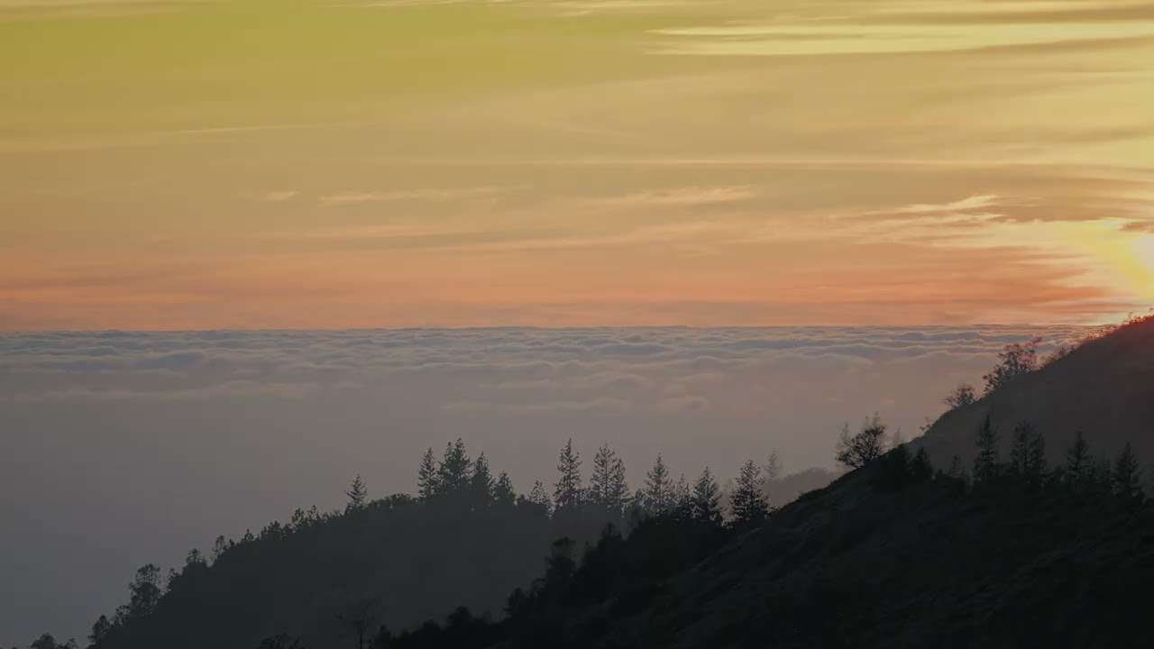 I Came Here to Stand Above the Clouds | Ragged Point, Big Sur