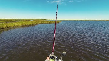 From The Poling Platform: Part 1