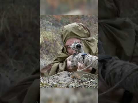 Немецкий снайпер нападает на советских разведчиков #shorts #снайпер #боевик #история