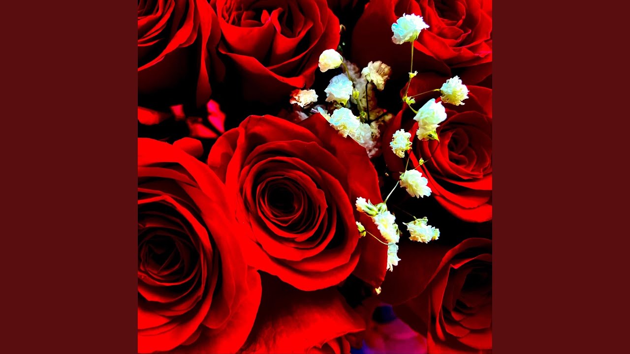 Watch Ballistic on YouTube Watch Ballistic on YouTube