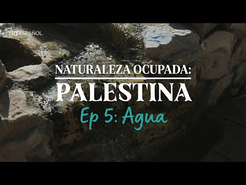 Naturaleza ocupada: Palestina | EP 5 - El Agua