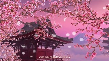 🎵 NGỌT NGÀO thần chú Kim Cang Tát Đỏa với hoa anh đào nhẹ nhàng rơi - Om Vajrasattva Hum
