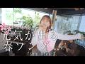 元気が出る春ソング🌸 from May J. 「SIDE BY SIDE」【新生活頑張るあなたへ】