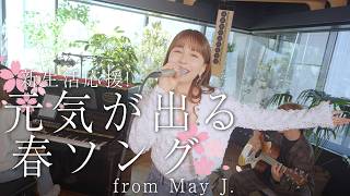 元気が出る春ソング🌸 from May J. 「SIDE BY SIDE」【新生活頑張るあなたへ】