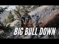 Big Bull Down In First Hunt | September 2021 | Idaho Archery Elk