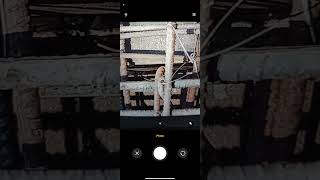 ExpView App Inspection Record Checks screenshot 4