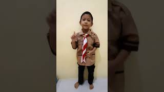 Download Lagu Nyamuk2 Nakal MP3