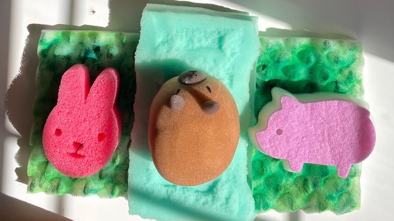 ASMR bulk sponge ripping variety - dry / jelly foam + novelty sponges