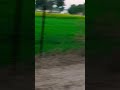 sort videos
