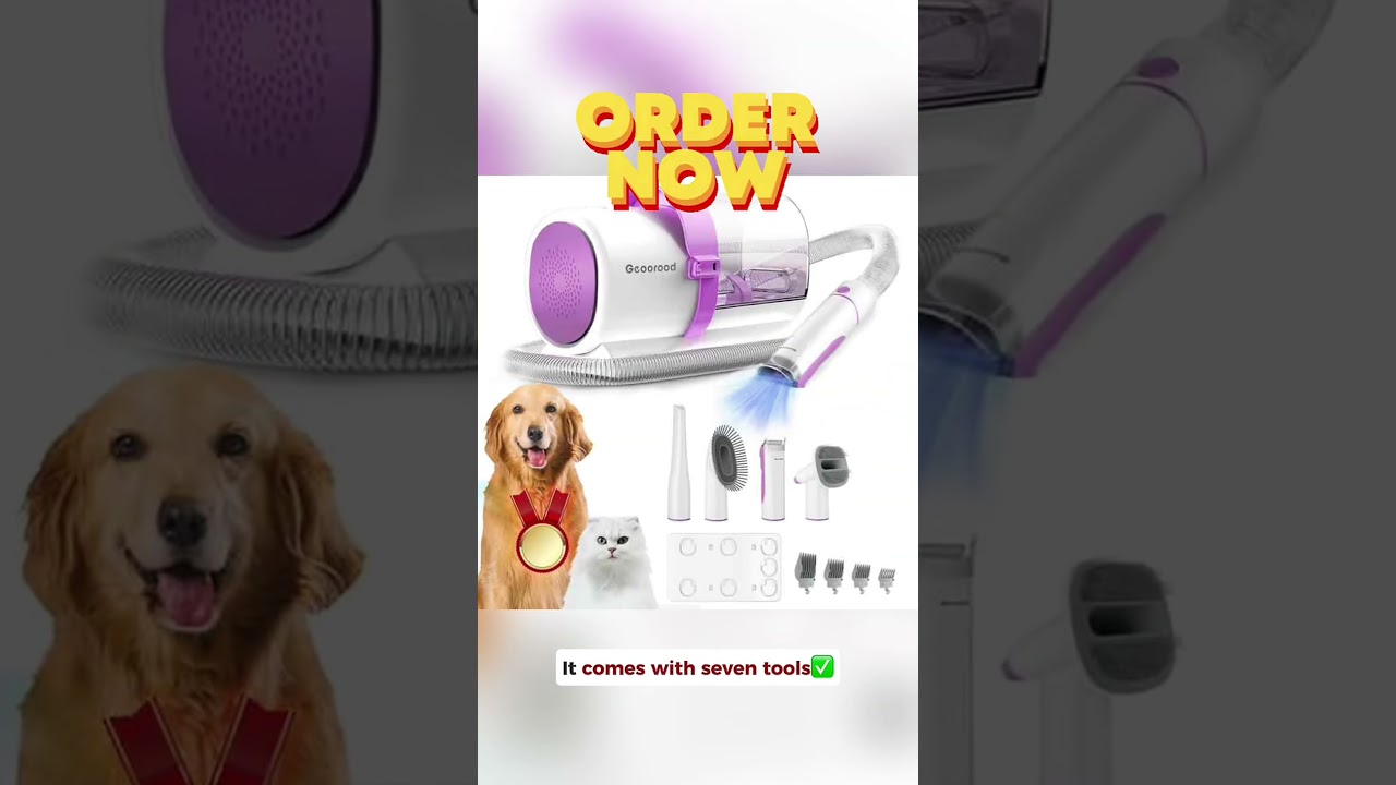 Pet-Friendly Vacuum Cleaner Solutions 