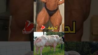 تمرينة رجل البيج رامي 🔥 #mrolympia