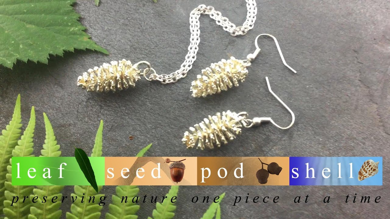 Leaf Seed Pod Shell - Behind the Scenes - YouTube
