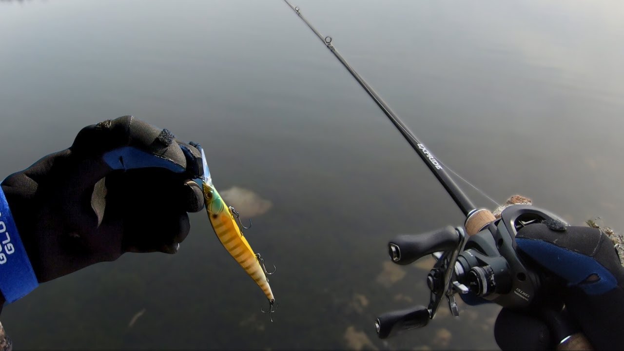 Top January Baits – $59 Challenge