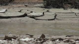 Namib Desert gets magical makeover after rains