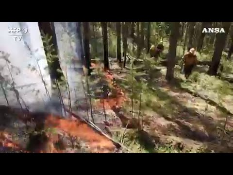 Video: Gli Incendi In Siberia Avveleneranno L'Europa: Gli Scienziati Occidentali Sono Spaventati Dal Riscaldamento In Russia - Visualizzazione Alternativa