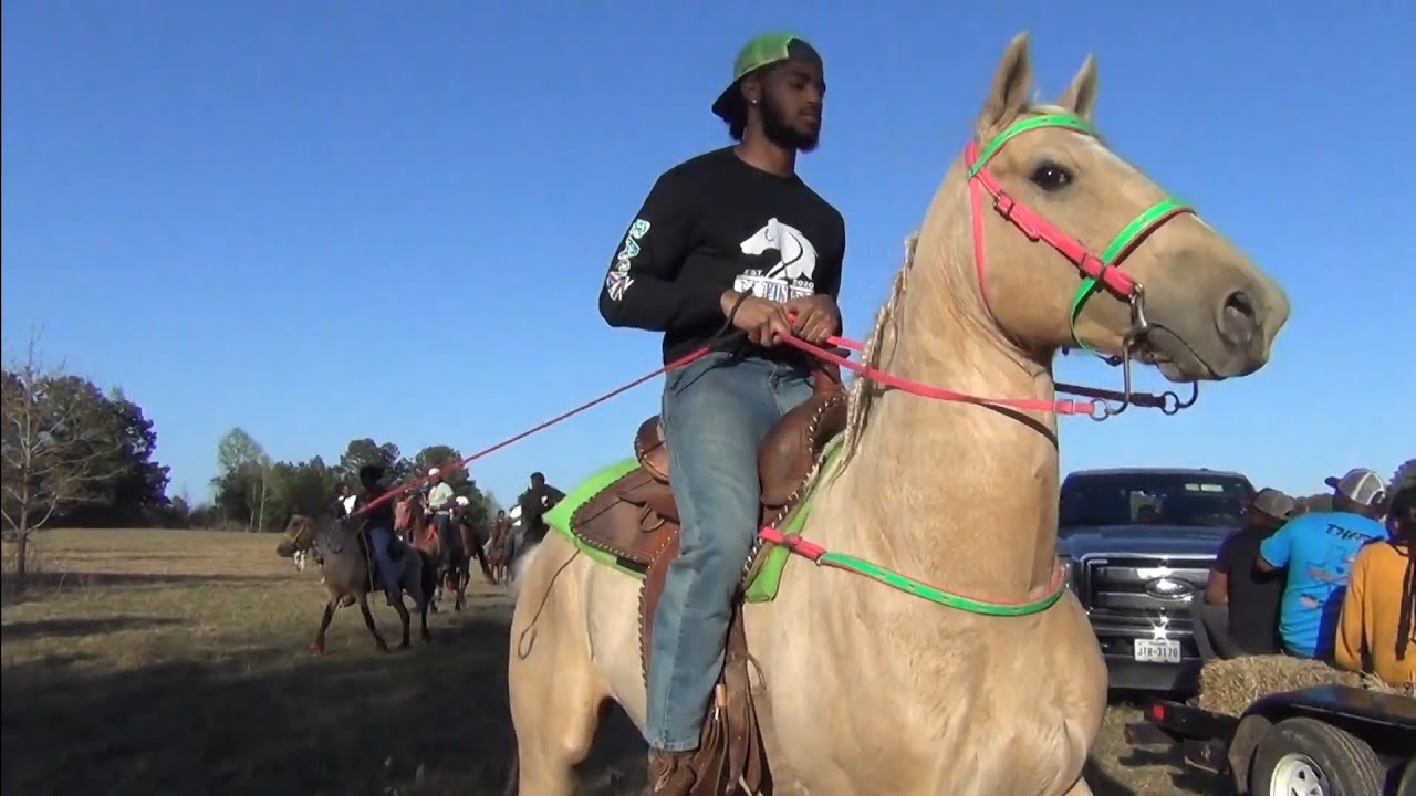 Best Stud Horse Contest at Annual NWO Horse Show and Trail Ride (Douglassville) YouTube