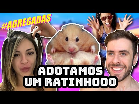 O EPISÓDIO DO RATO E DO SUPOSITÓRIO | #Agregadas 2 - EP 13