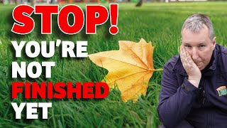 Do This Now For Your Best Lawn Next Spring (guaranteed)