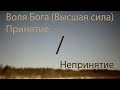 Принятие - непринятие воли Бога (Высшей силы)