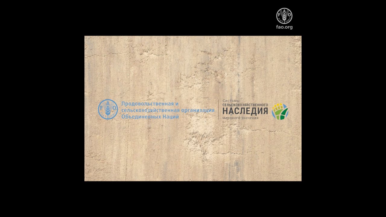 диссертации по единому сельскохозяйственному налогу