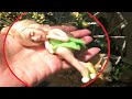 15 Real Fairies Caught On Camera And Seen In Real Life