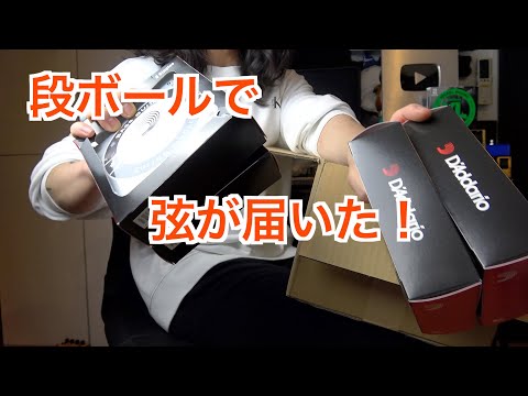 【ベース】在庫切れの中弦を送って頂いた話【キョーリツコーポレーション】