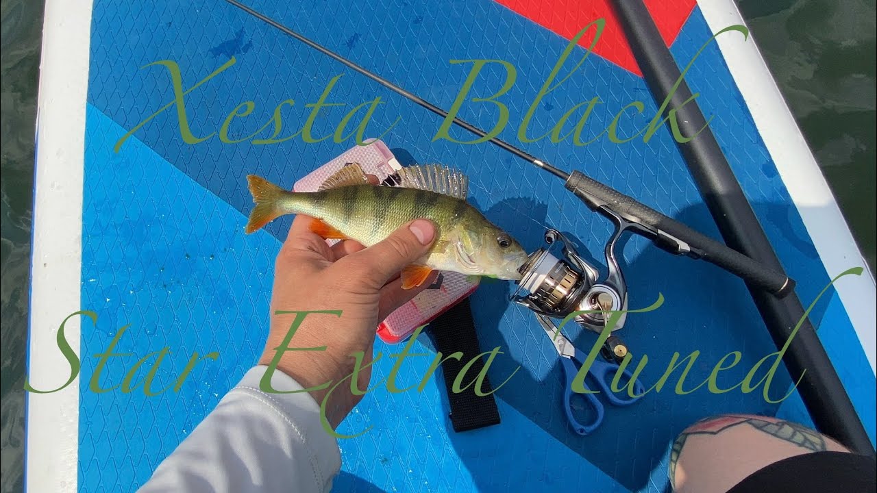 Рыбалка на сапсёрфе с Xesta Black Star Extra Tuned S54SUL-S The Finesse Unison