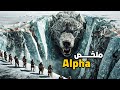 شاب محارب وذئب شرس كيواجهو المخاطر مع بعض ملخص Alpha 