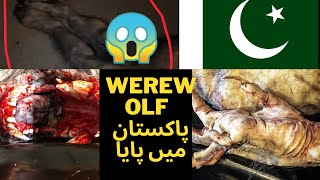 Werewolf  پاکستان میں پایا l Were Wolf Found In Pakistan First Time Ever Full Video 