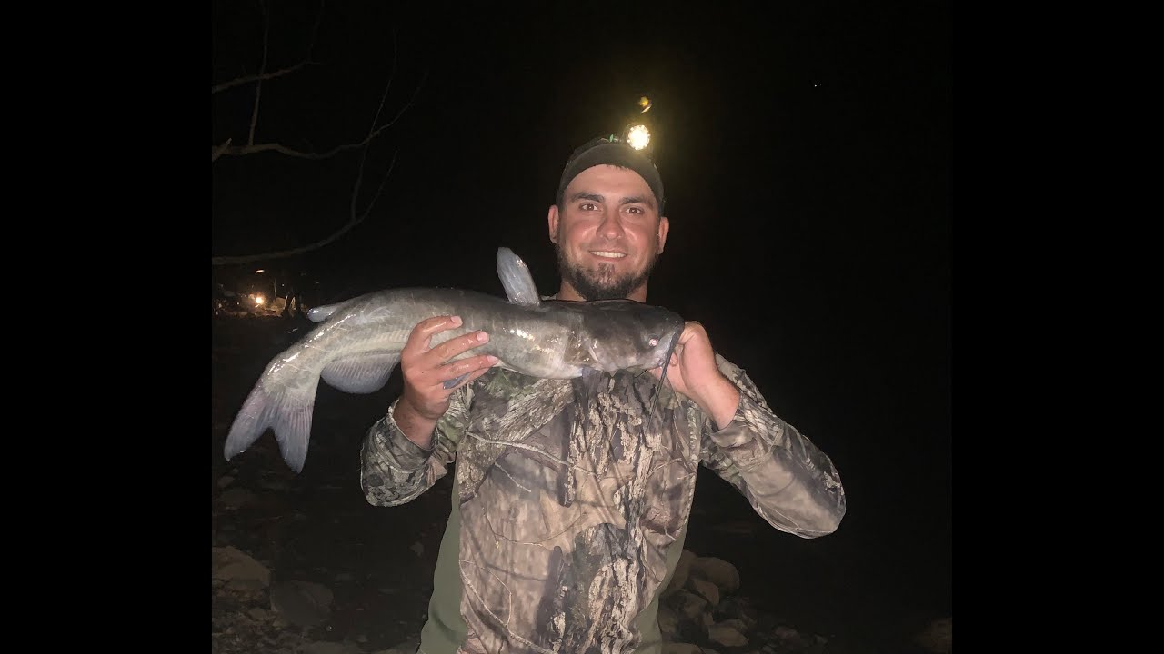 Night Fishing Catfish YouTube