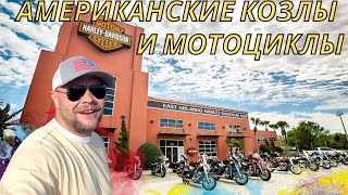 видео: Рынок сша. Фермерский рынок в сша. Harley Davidson. Харлей обзор картинка: Рынок сша. Фермерский рынок в сша. Harley Davidson. Харлей обзор