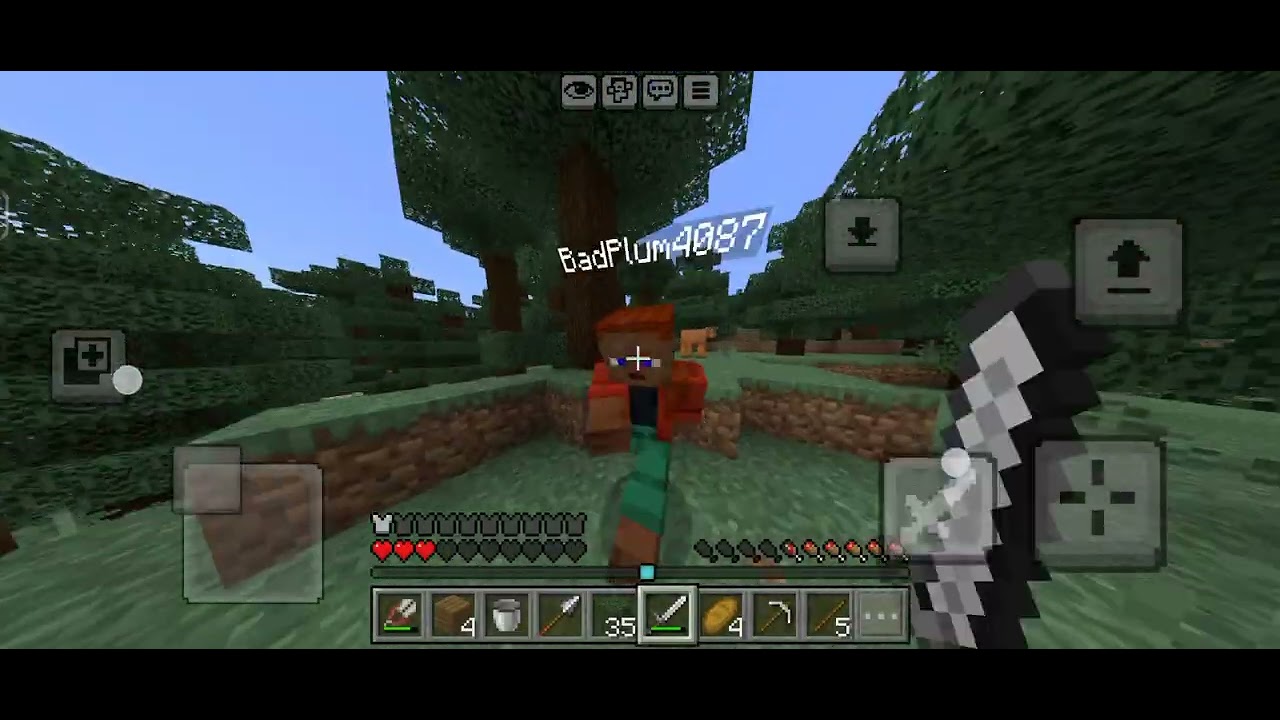 Minecraft manhant 1v1 half