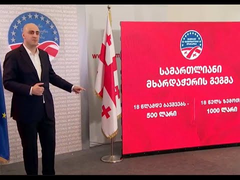 „ნაციონალურმა მოძრაობამ“ მხარდაჭერის გეგმა წარადგინა