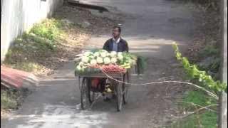 Loud Vegetable Vendor