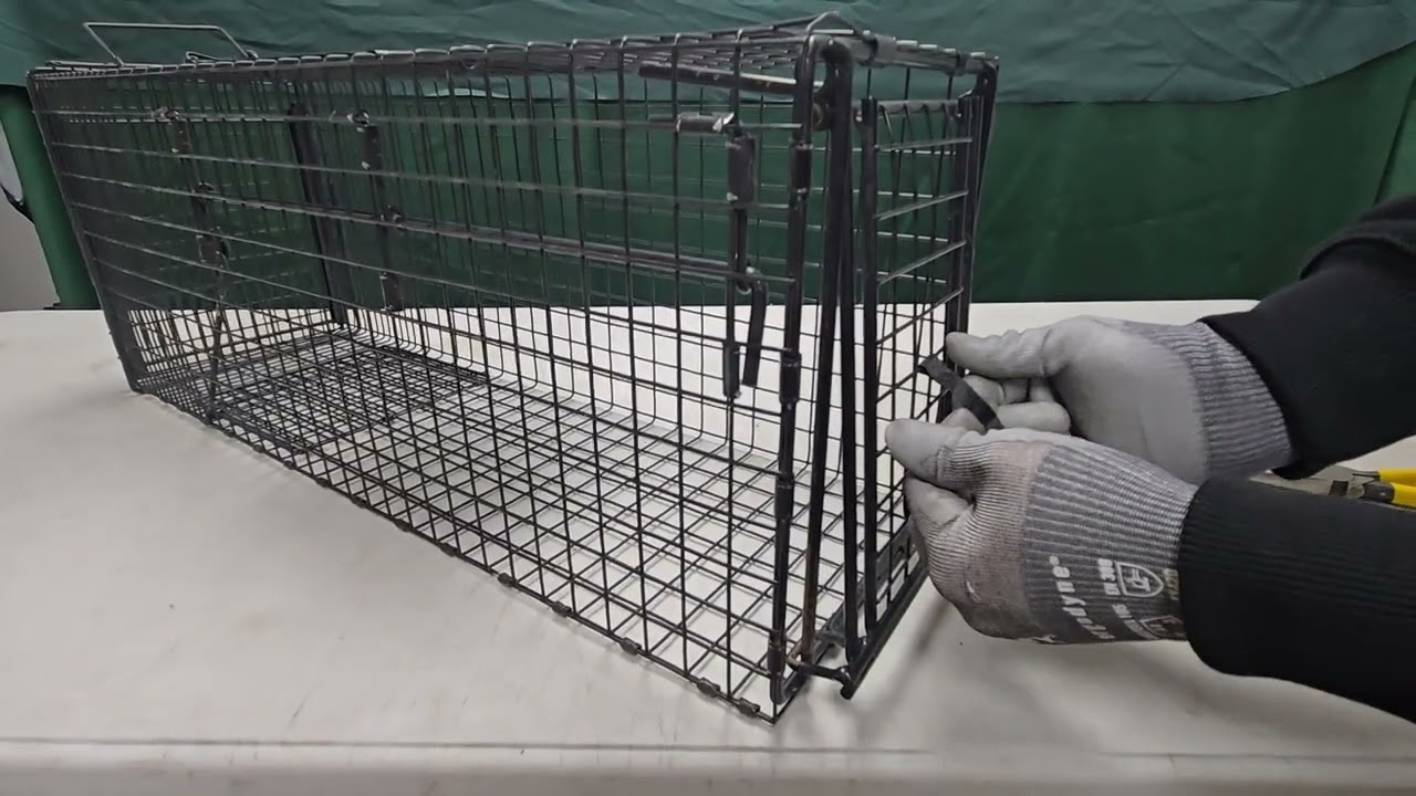 Adjusting Door Lock on Gravity Series Cat Trap