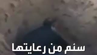 جريمه مرعبه في الصين رجل دفن امه ?وهيه حيه ?