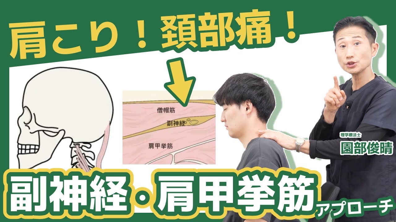 本 肩こりの臨床 : 関連各科からのアプローチ