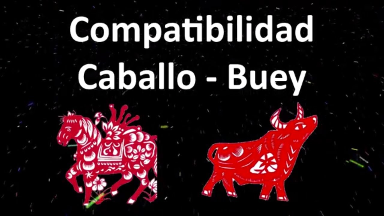 Compatibilidad Caballo Buey, Horóscopo Chino YouTube