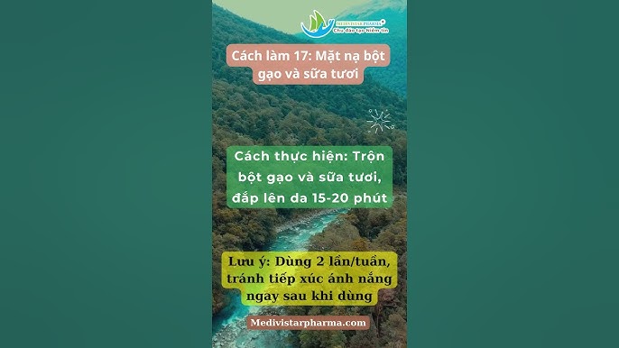 Phản Hồi Từ Người Dùng