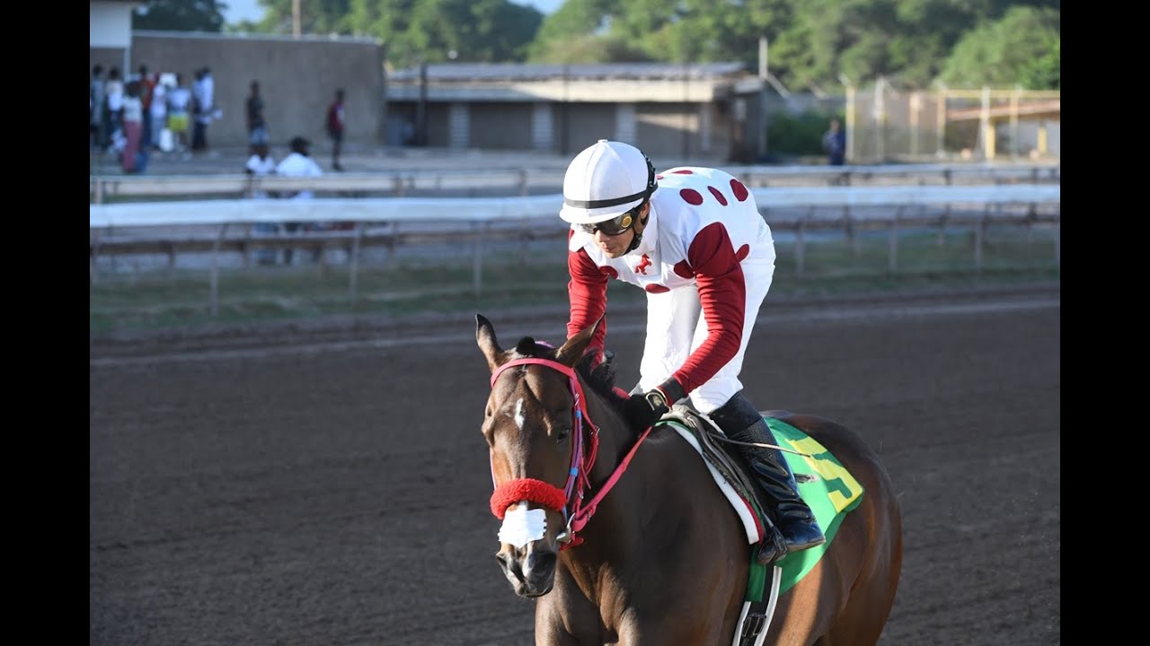 Reliving The 4 St Elizabeth Distaff Races As Jamaica Day Approaches ...