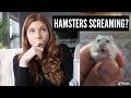 Do Hamsters Learn To Scream?