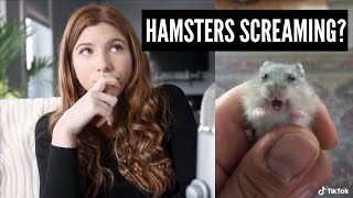 Do Hamsters Learn To Scream?