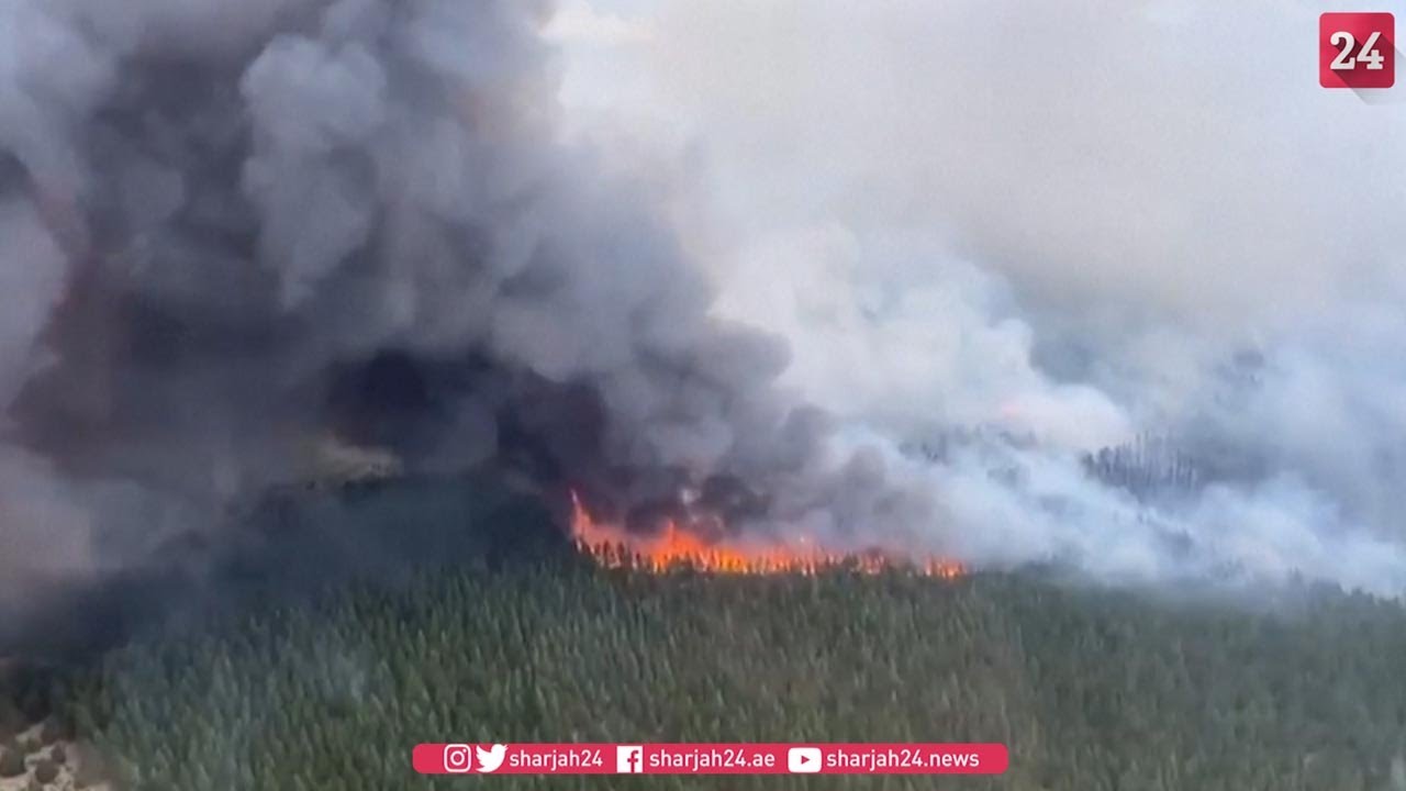 Wildfire ravages massive section of Argentine forest