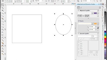 Alignment and dynamic guides