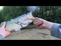 I don’t usually fish for BASS (accidentally caught, on a HOTDOG)